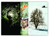 "Winter Collage"